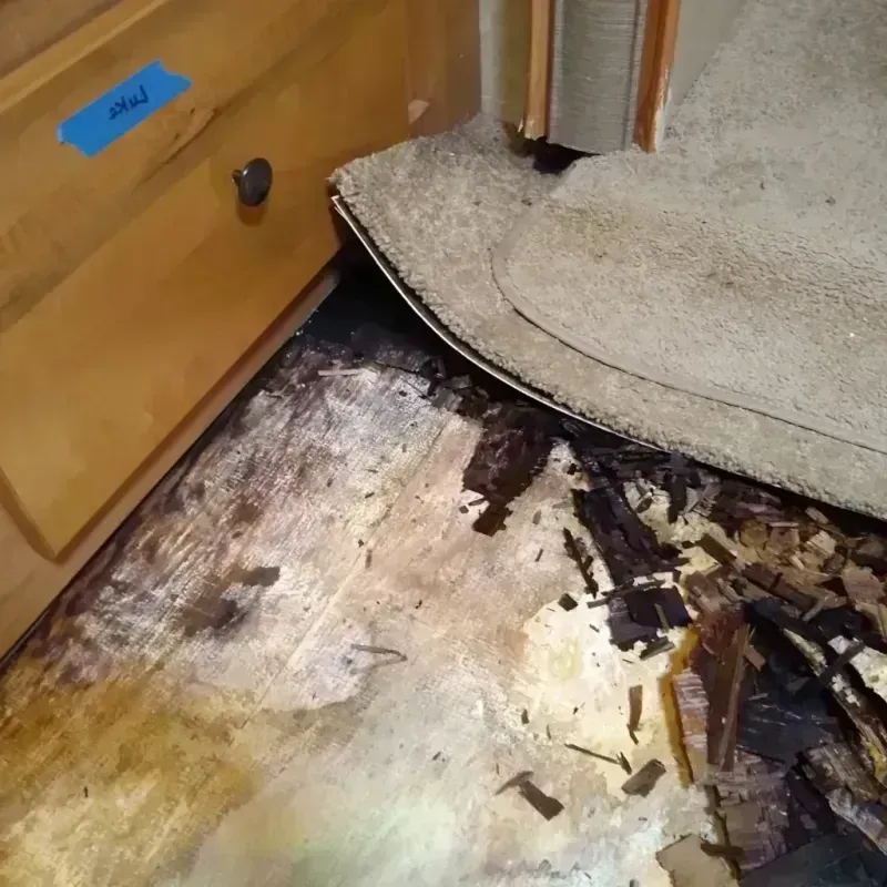 Wood Floor Water Damage in East Rochester, NY